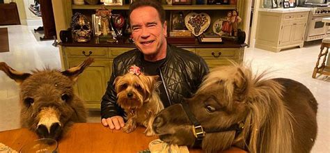 arnold schwarzenegger and his pets
